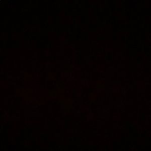 Meet your Posher, Diego